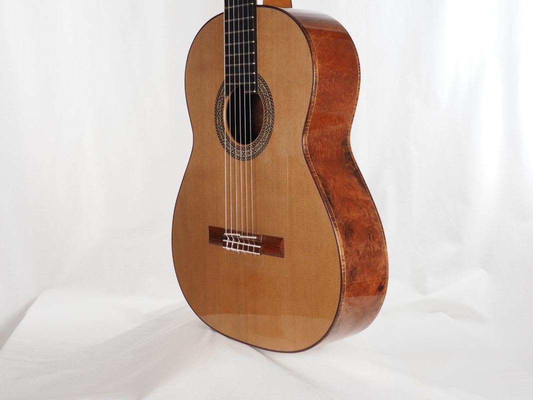 Classical concert guitar