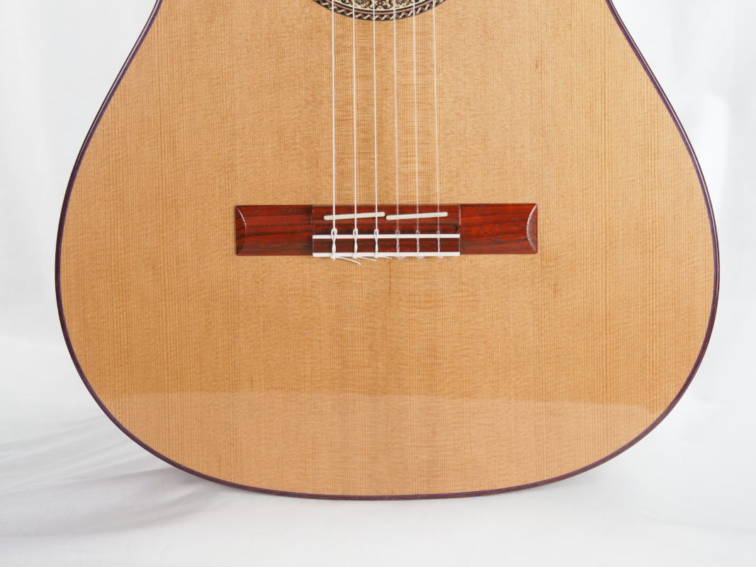 Classical concert guitar