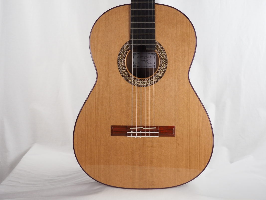 Classical concert guitar