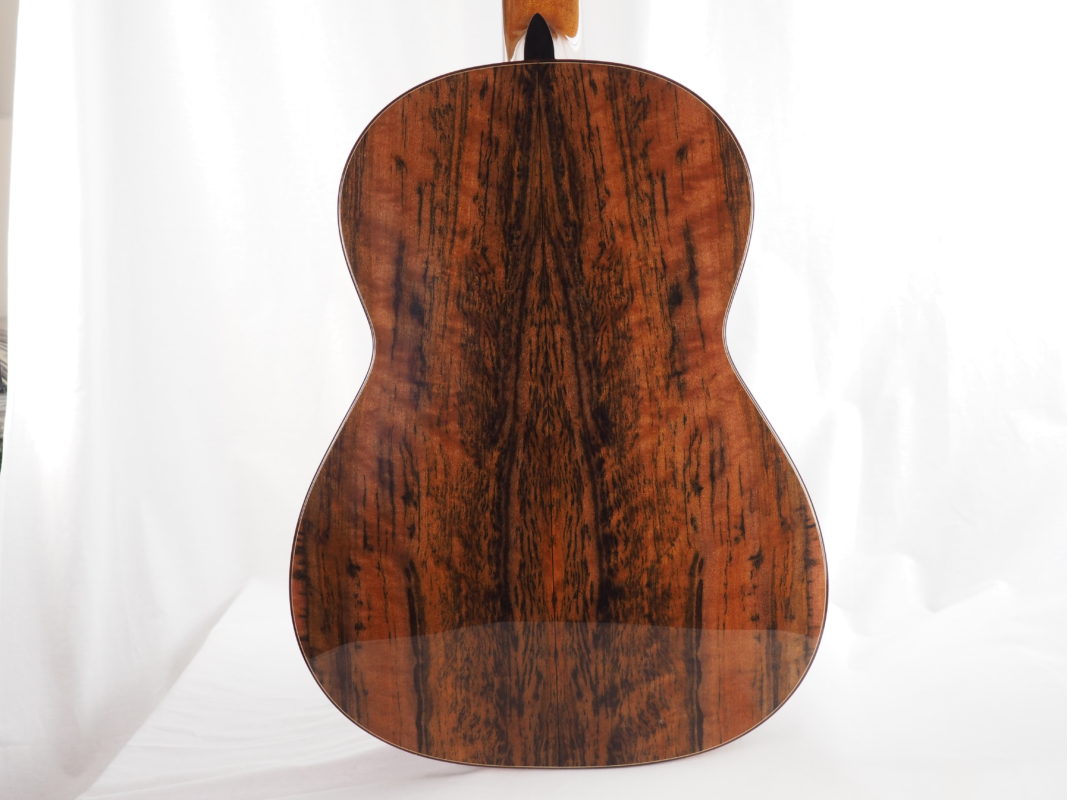 Classical concert guitar