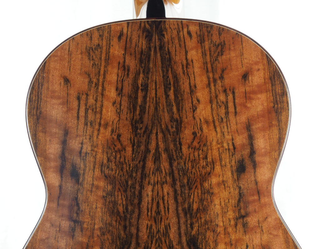 Classical concert guitar