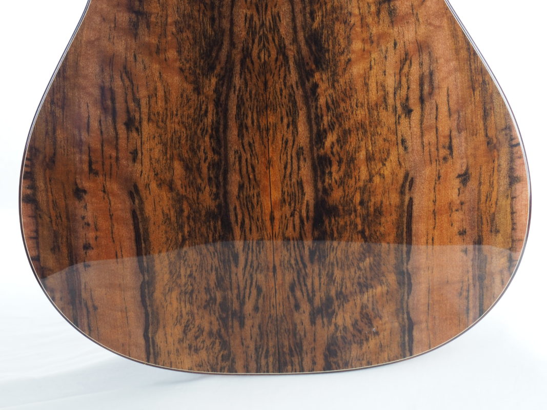 Classical concert guitar