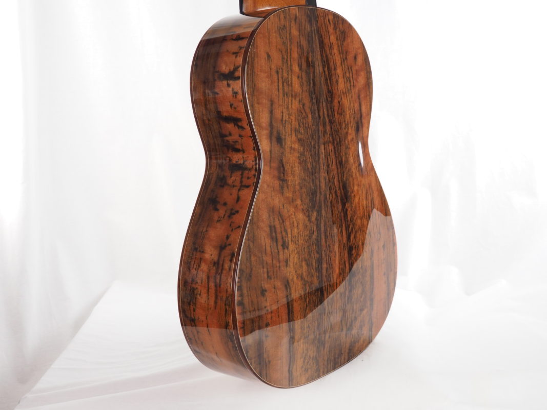 Classical concert guitar