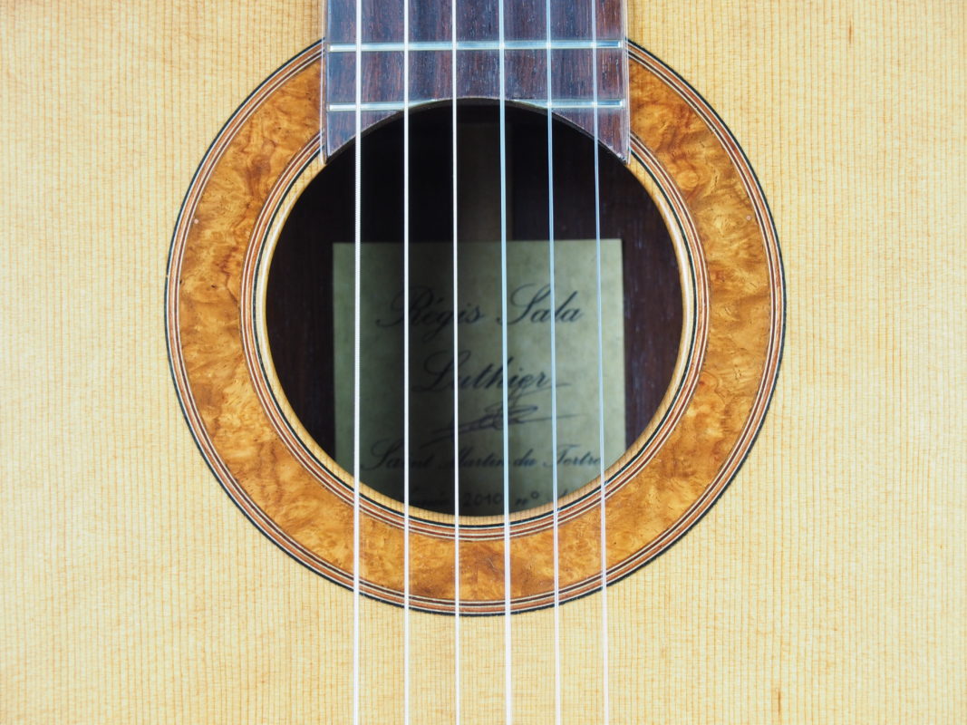 Classical concert guitar