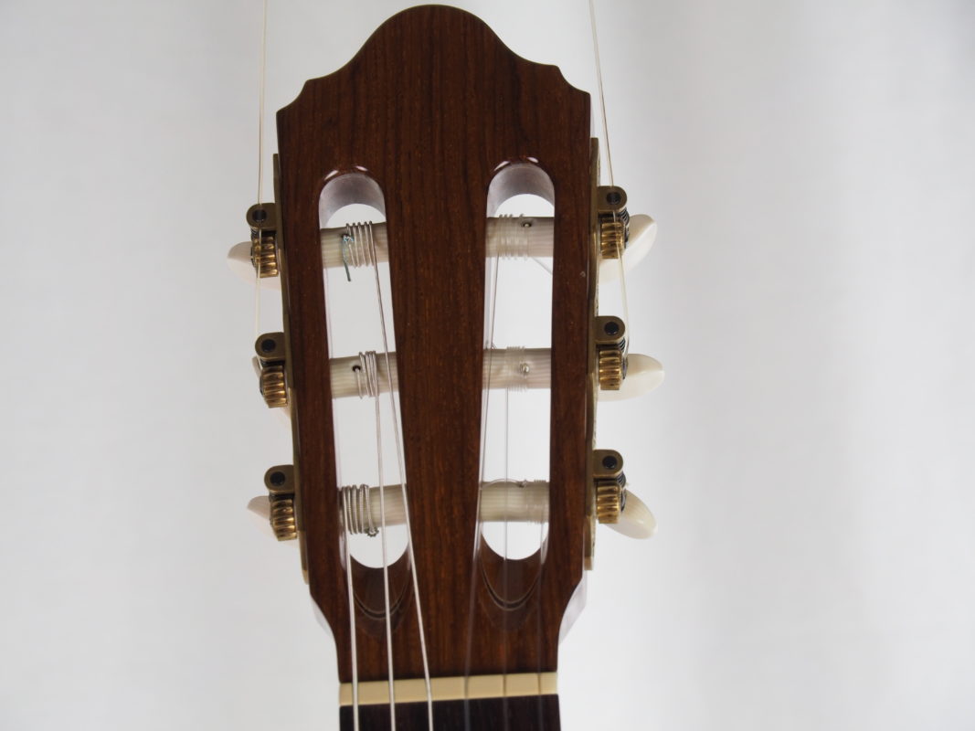 Classical concert guitar