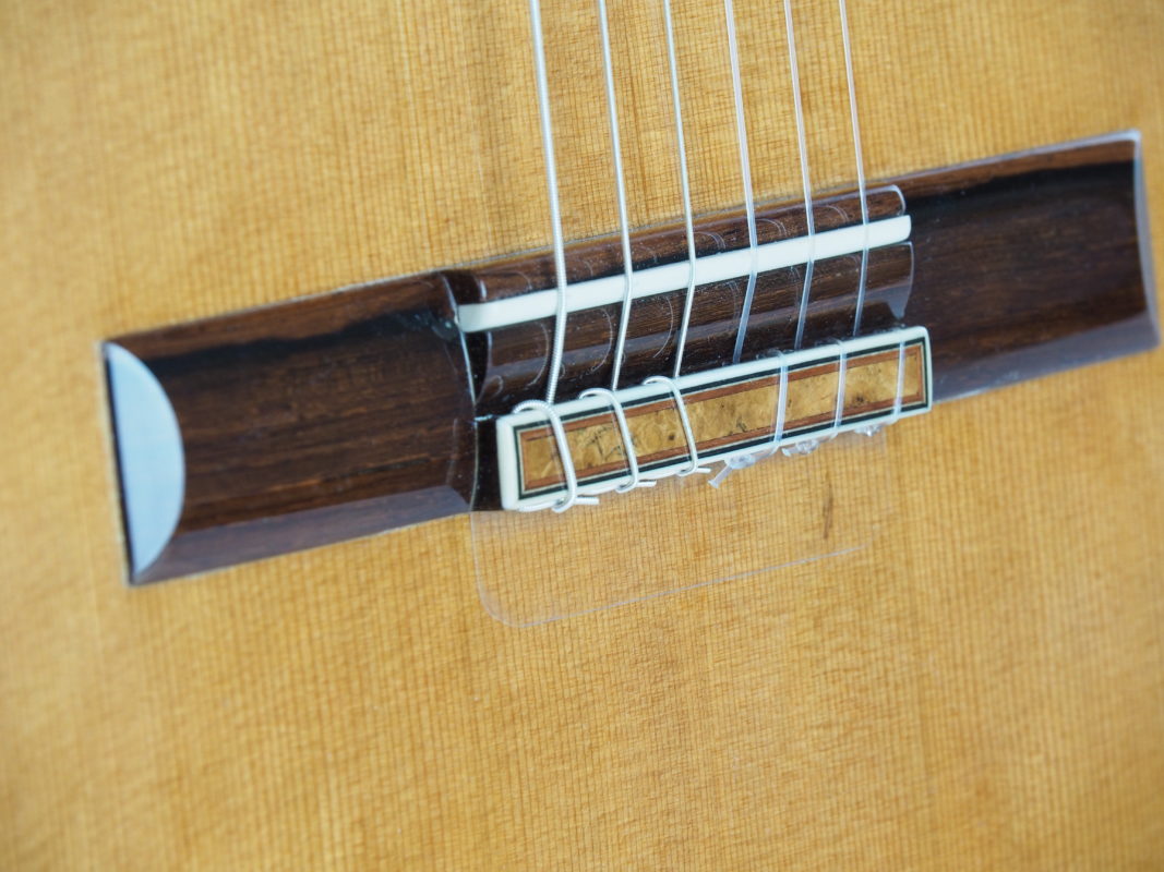 Classical concert guitar