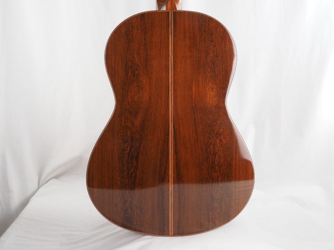 Classical concert guitar