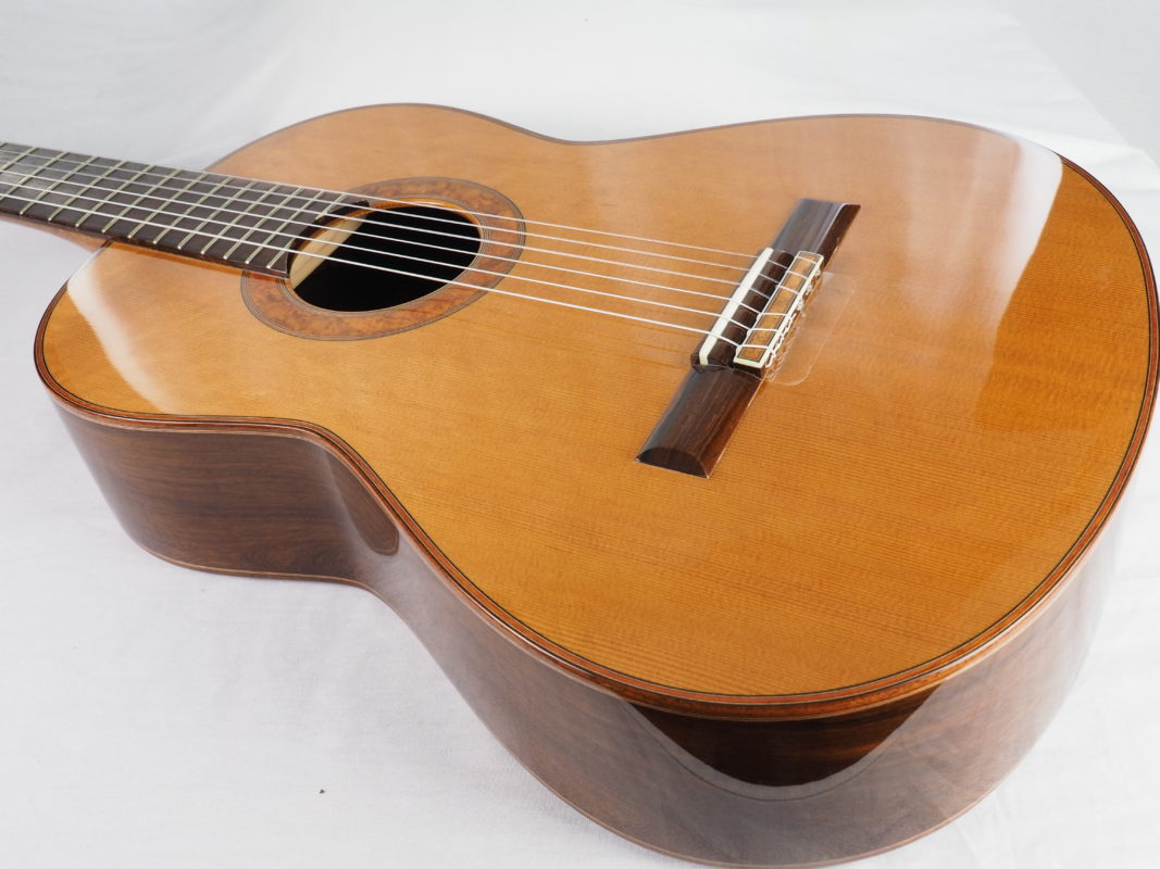 Classical concert guitar