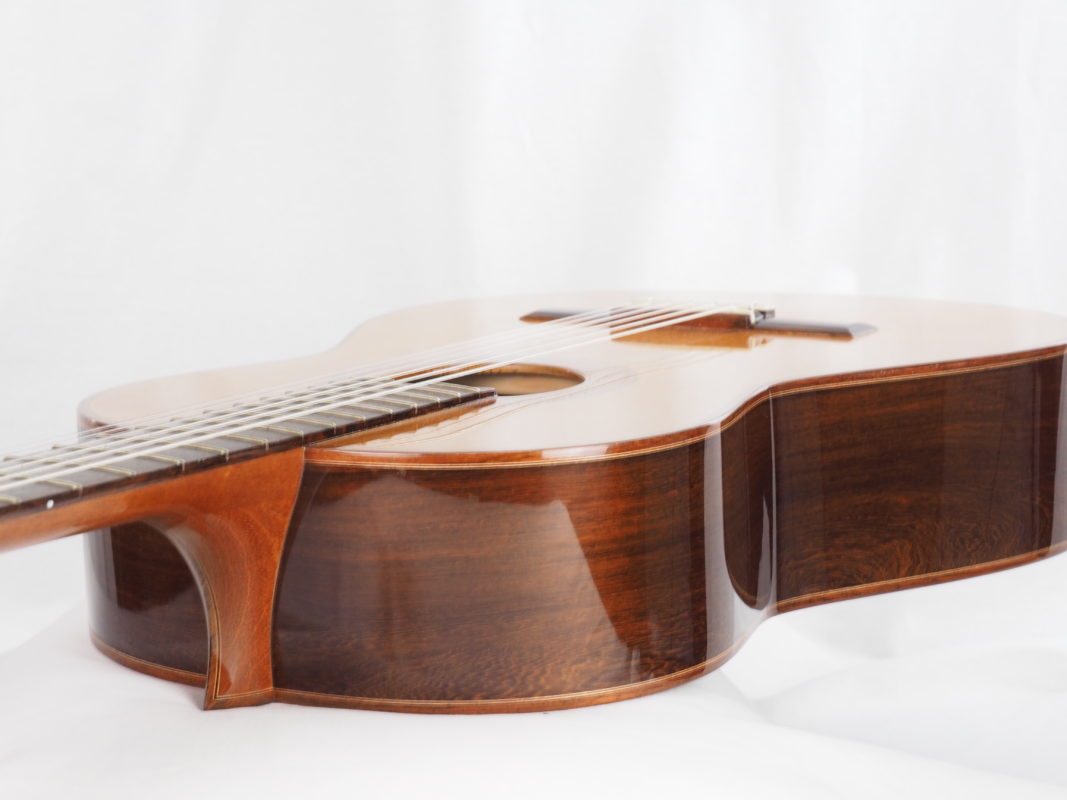 Classical concert guitar
