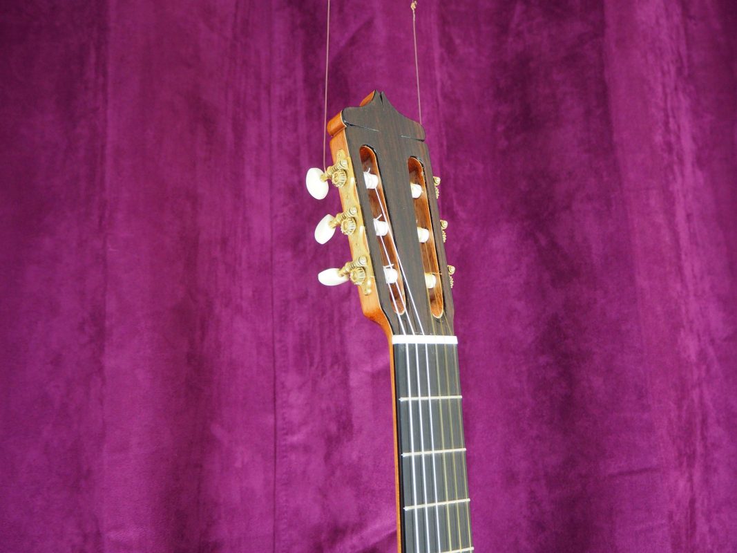 Classical concert guitar