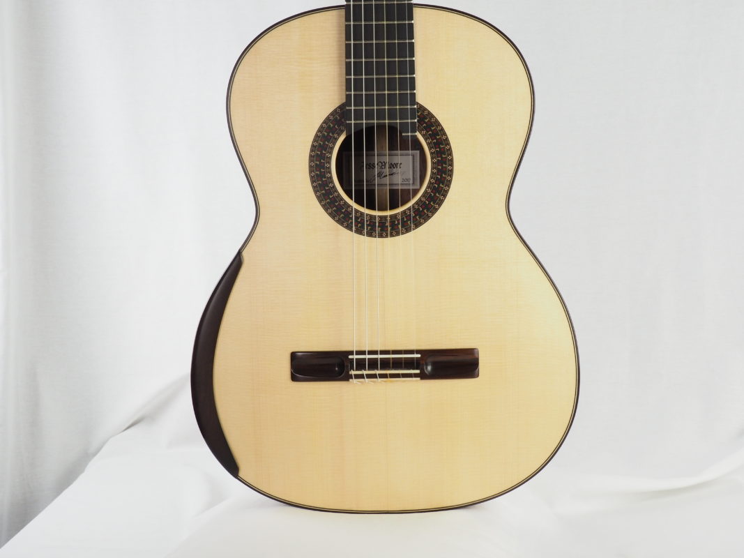 Classical concert guitar