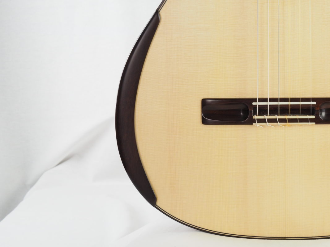 Classical concert guitar