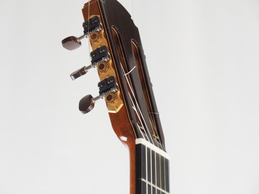 Classical concert guitar