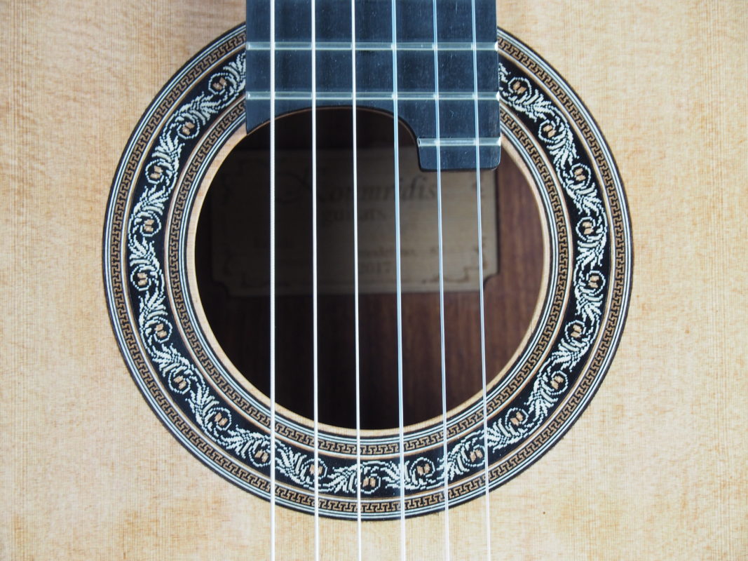 Classical concert guitar