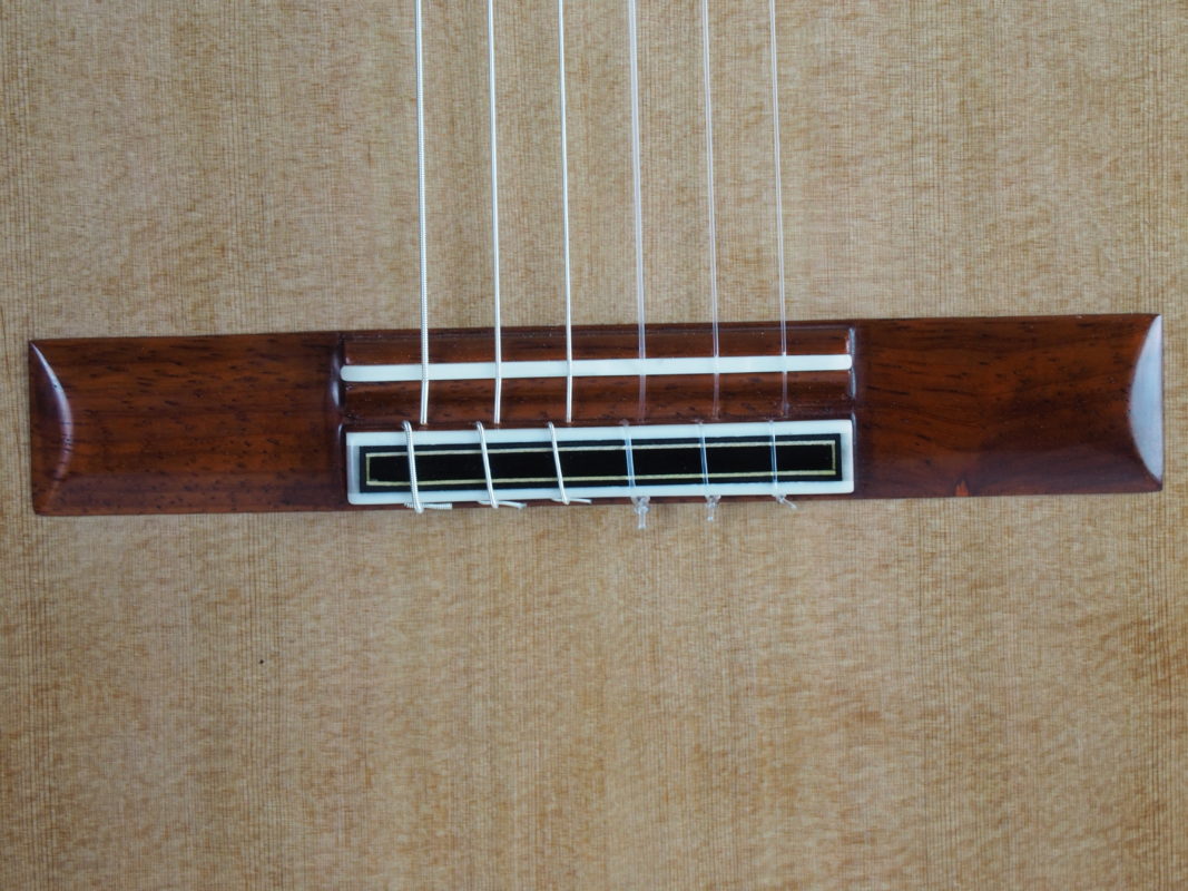 Classical concert guitar