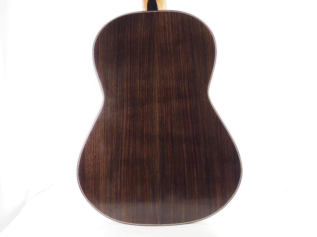 Classical concert guitar