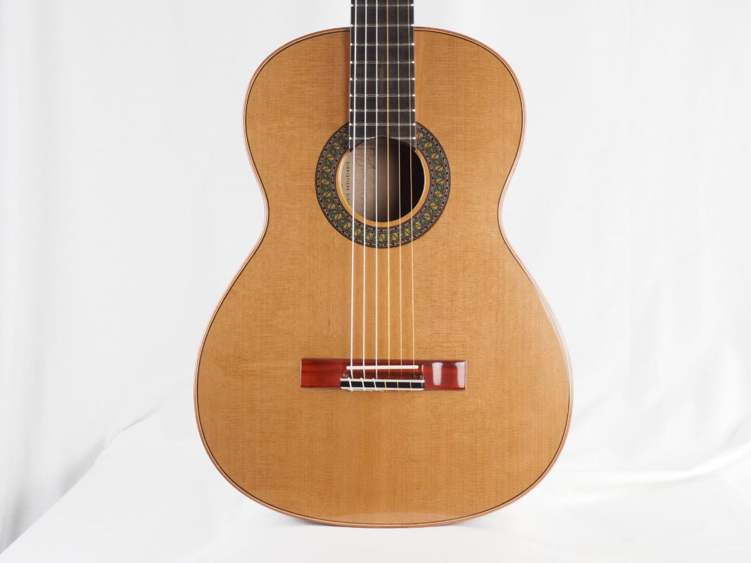 Classical concert guitar