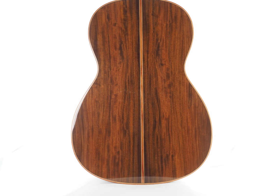 Classical concert guitar