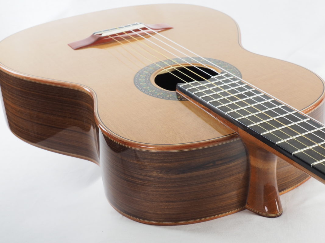Classical concert guitar