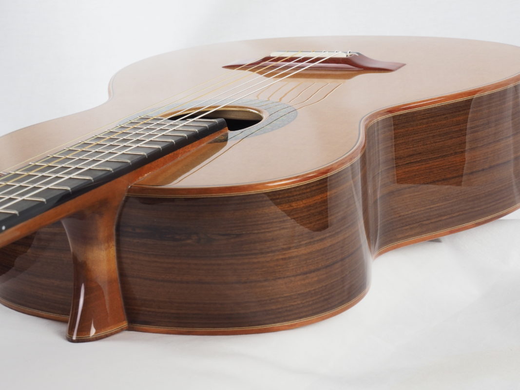 Classical concert guitar