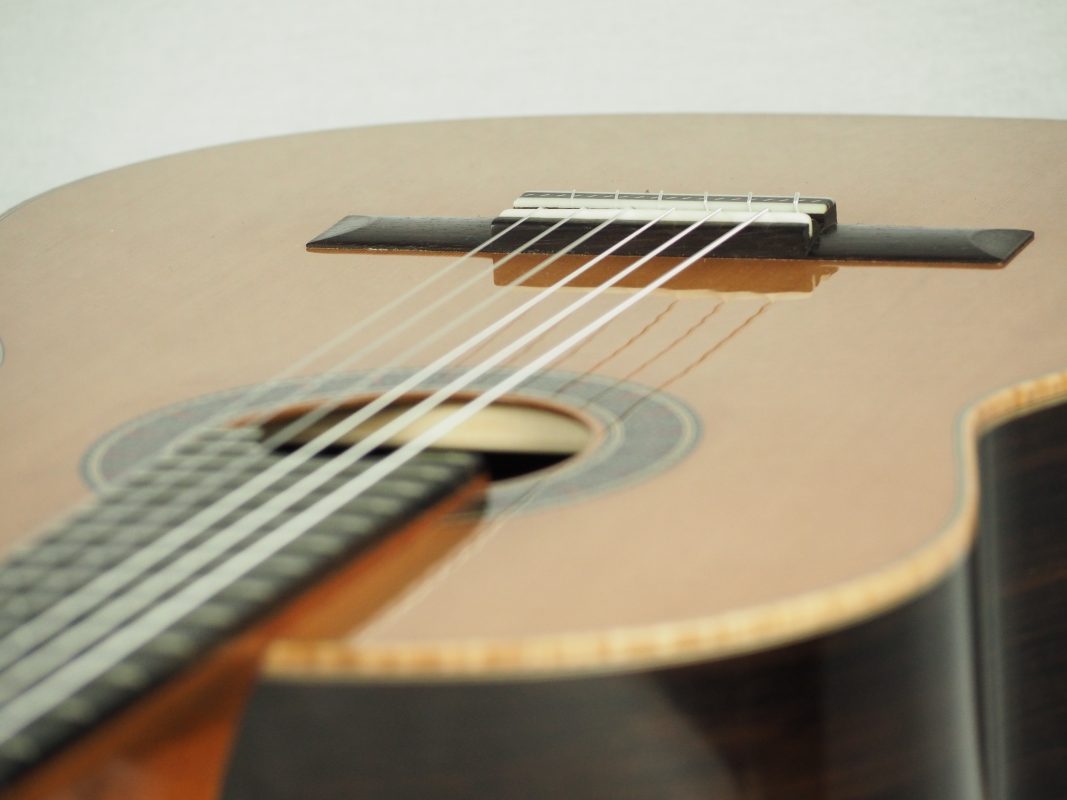 Classical concert guitar