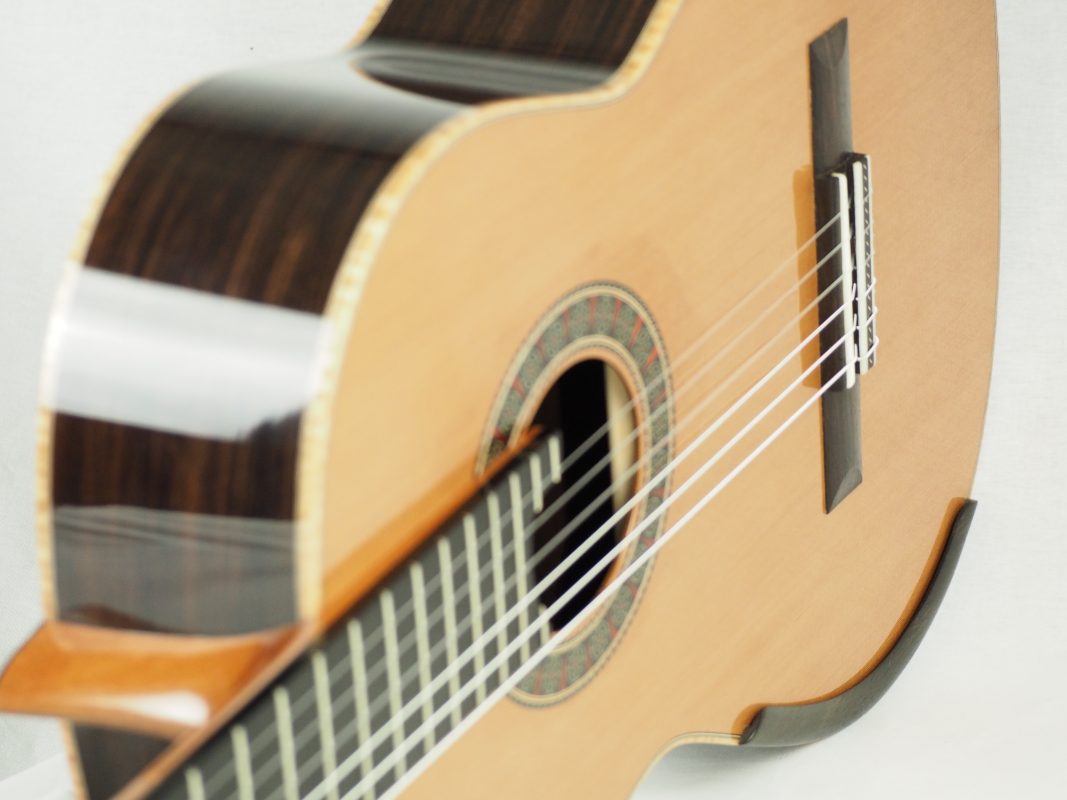 Classical concert guitar