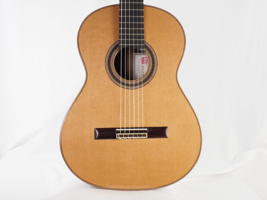 Classical concert guitar