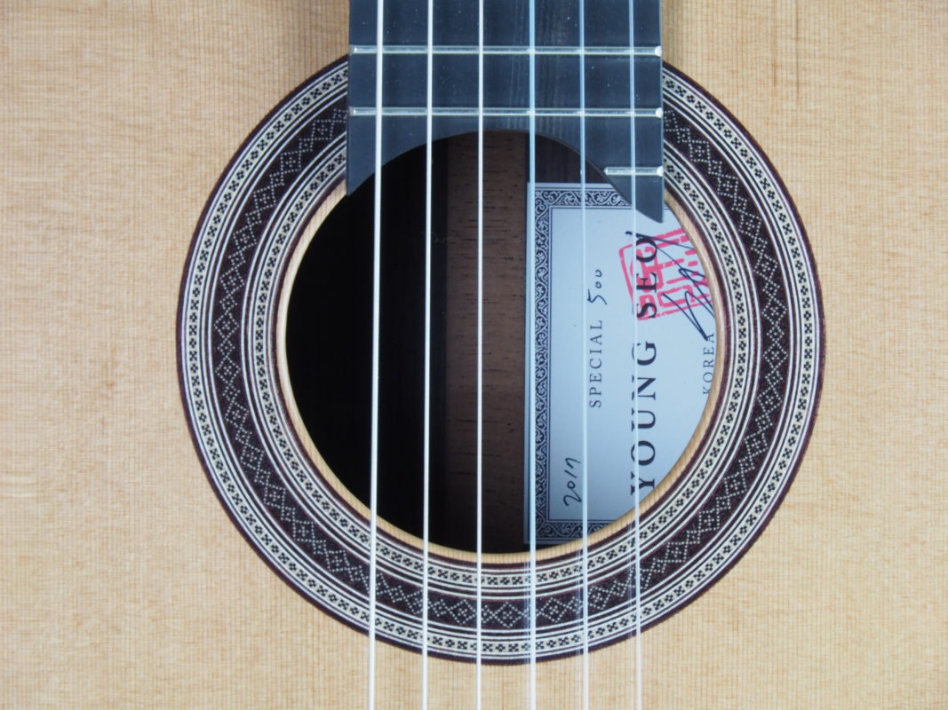 Classical concert guitar