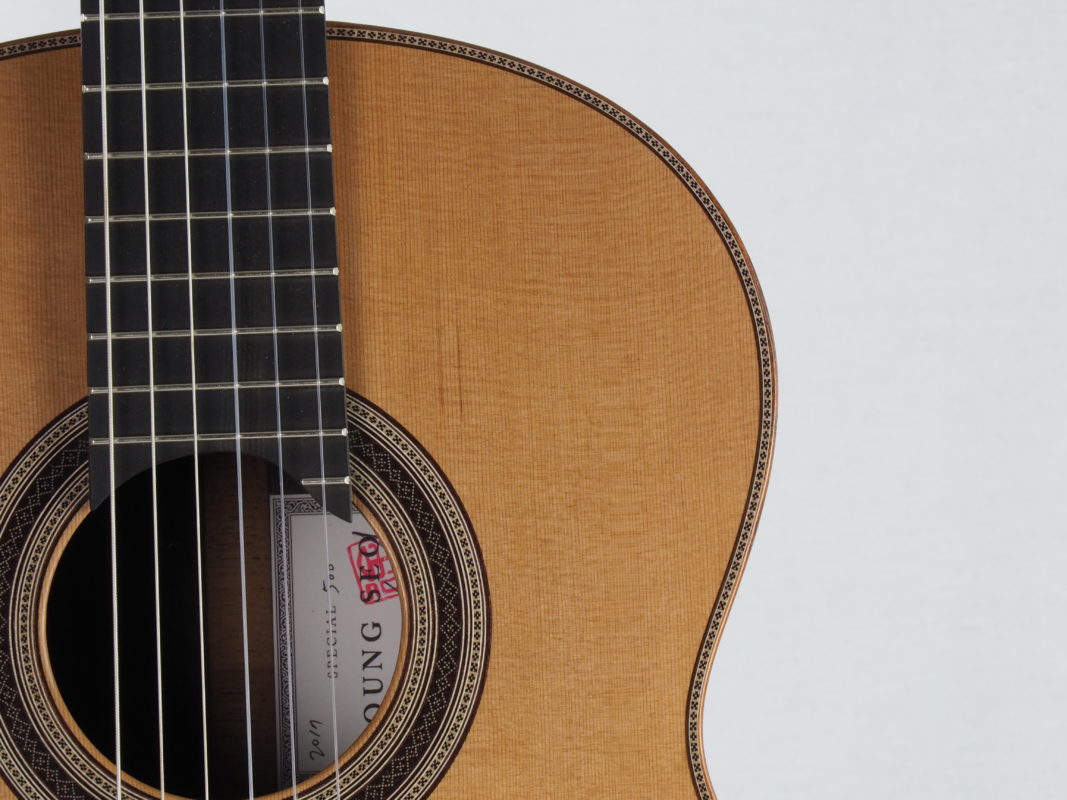 Classical concert guitar