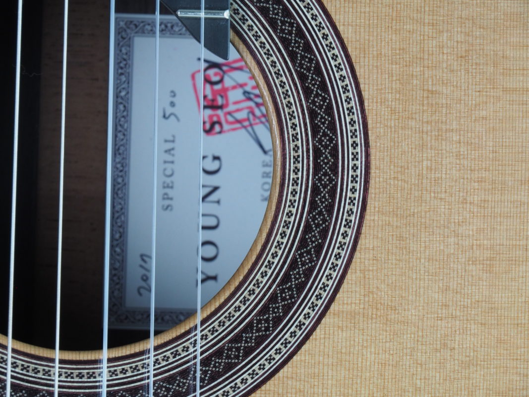 Classical concert guitar