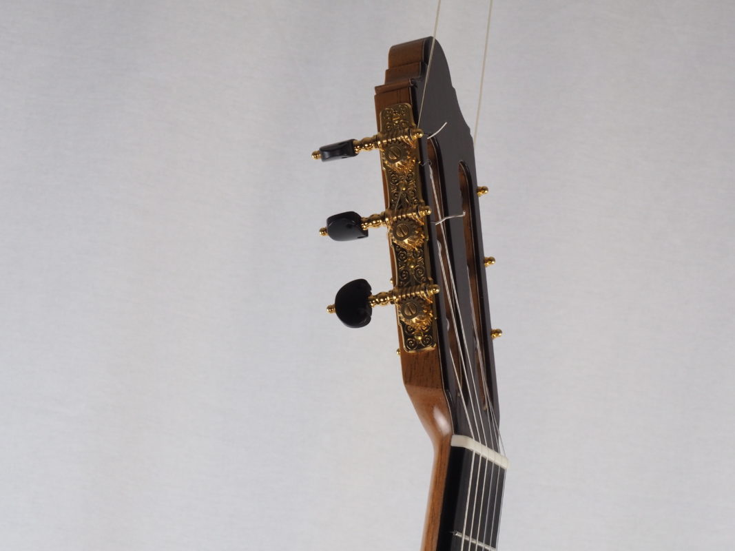 Classical concert guitar