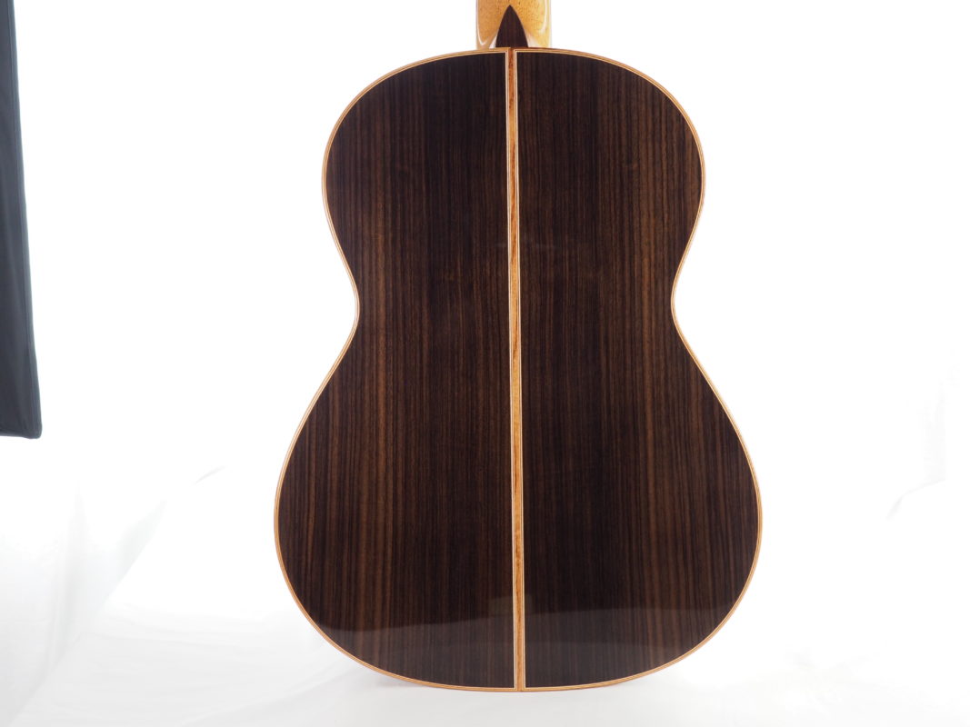 Classical concert guitar