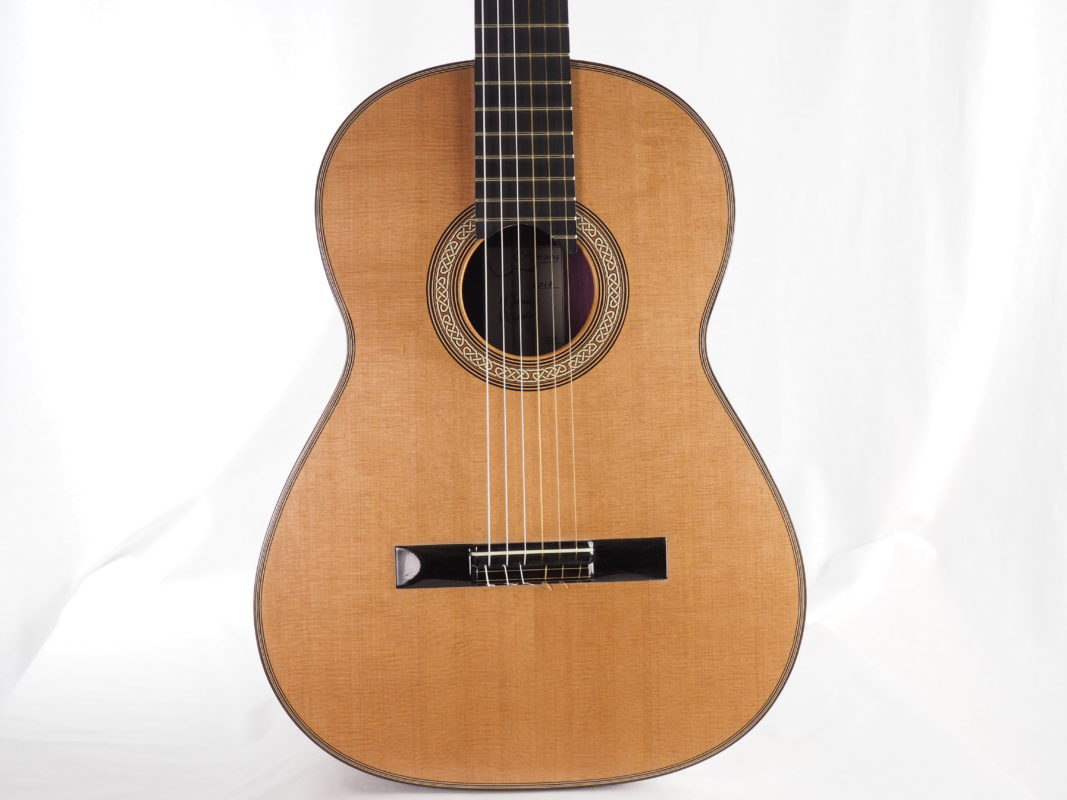 Classical concert guitar