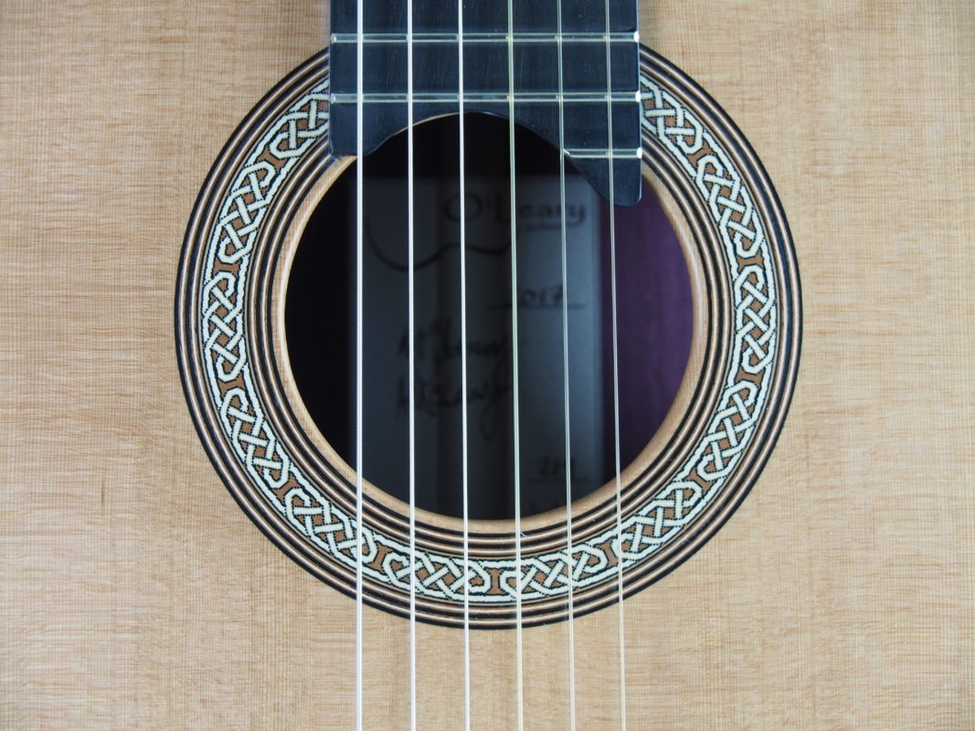 Classical concert guitar