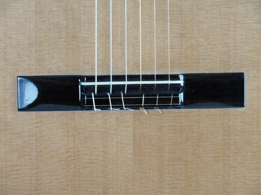 Classical concert guitar