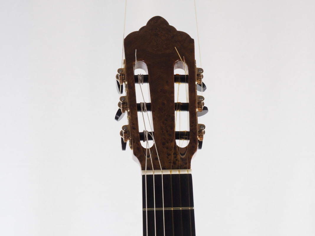 Classical concert guitar