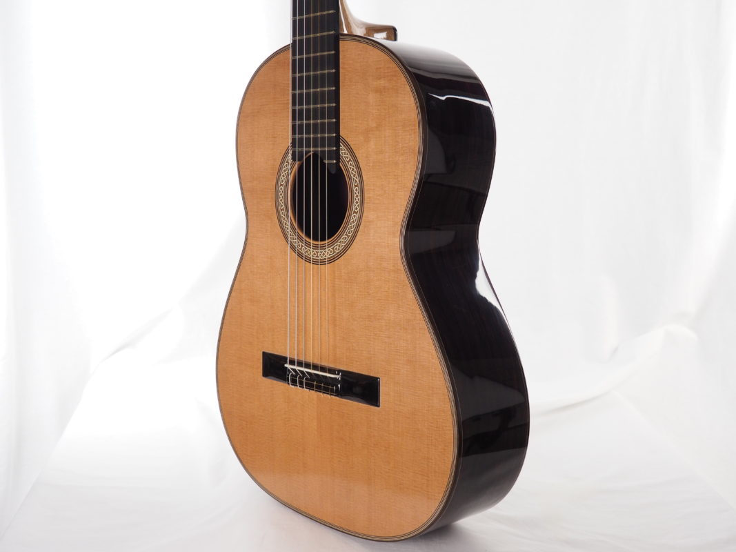 Classical concert guitar