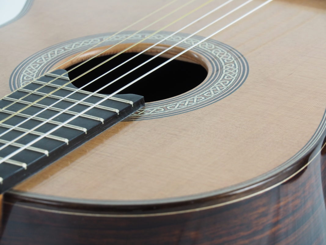 Classical concert guitar