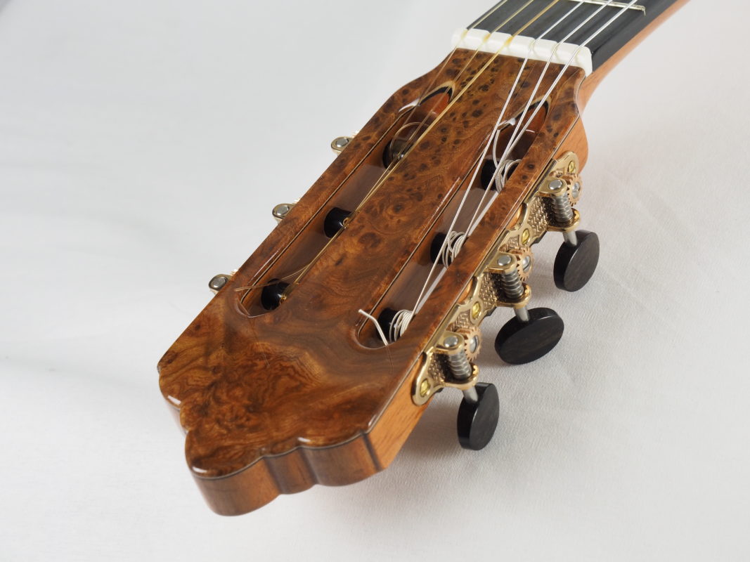 Classical concert guitar