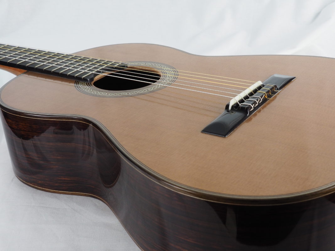 Classical concert guitar