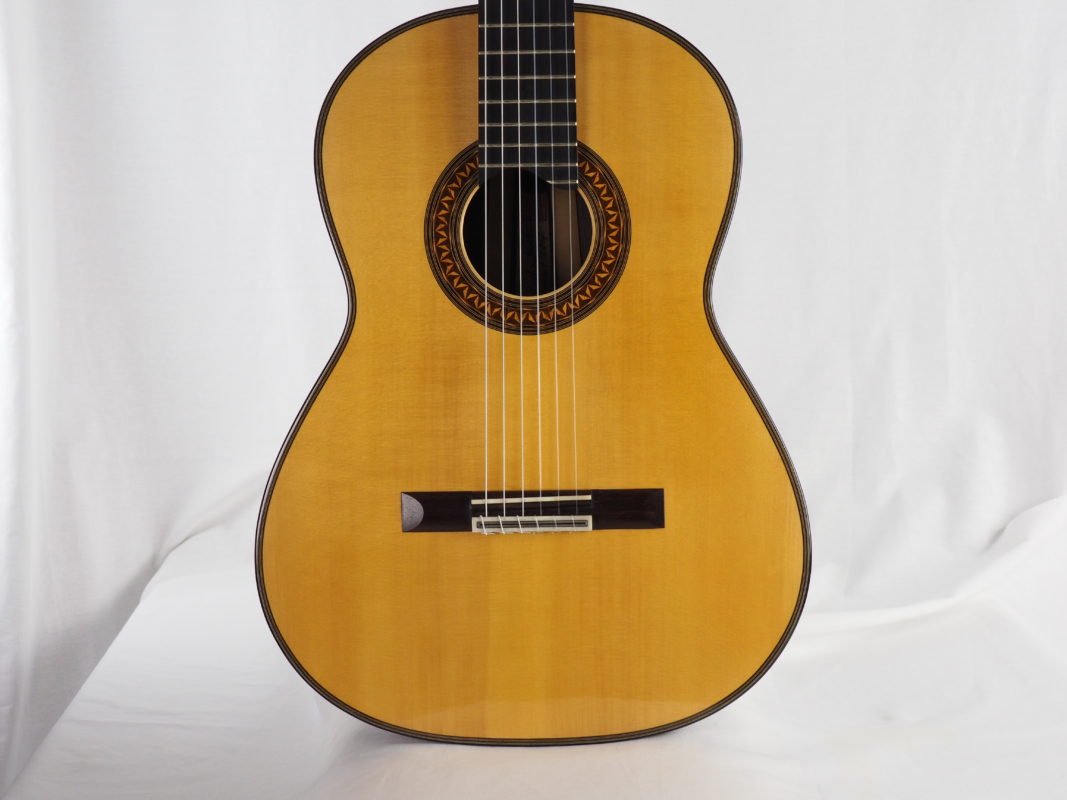 Classical concert guitar