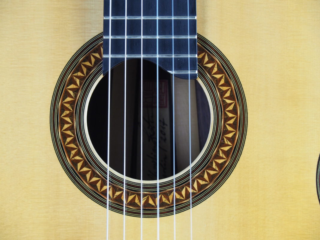Classical concert guitar