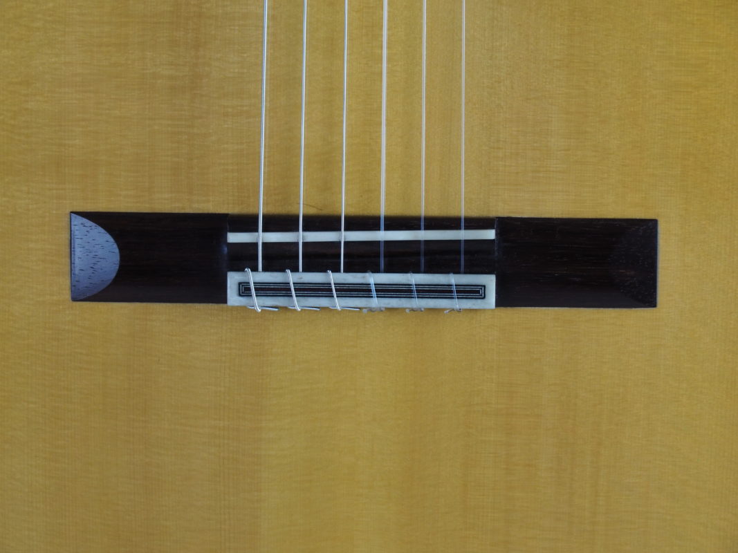Classical concert guitar