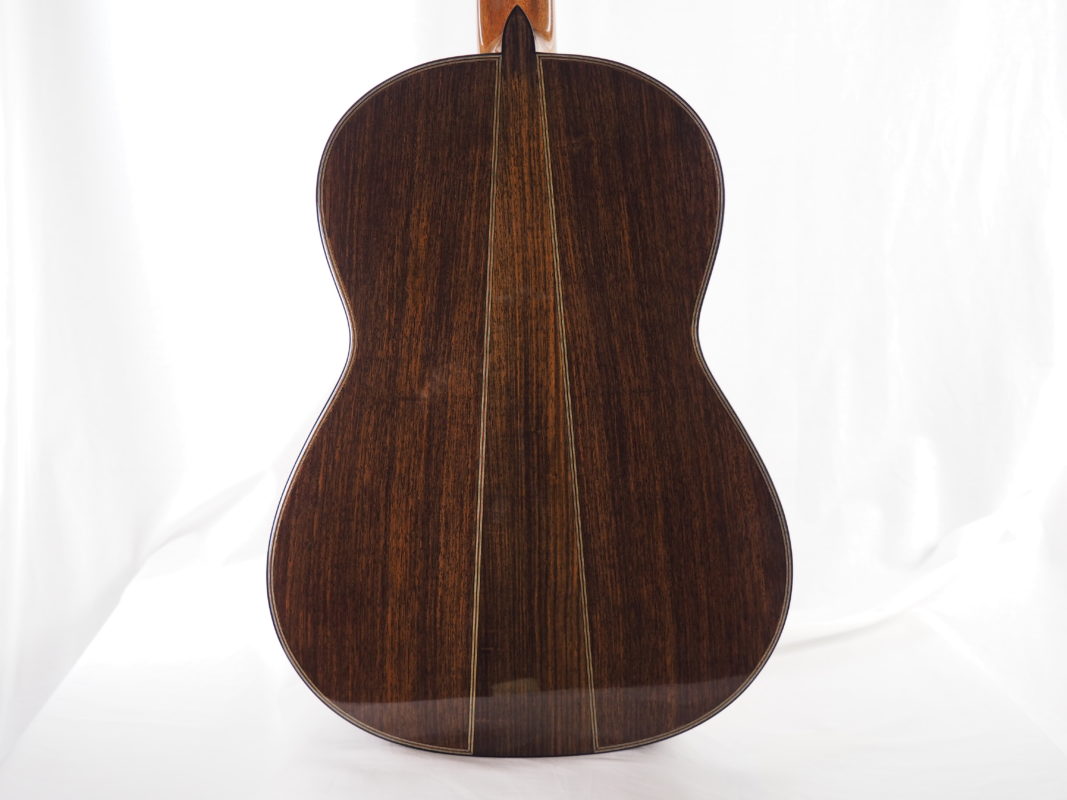 Classical concert guitar