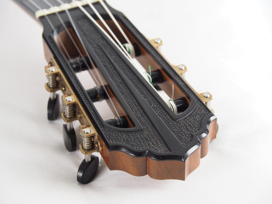 Classical concert guitar