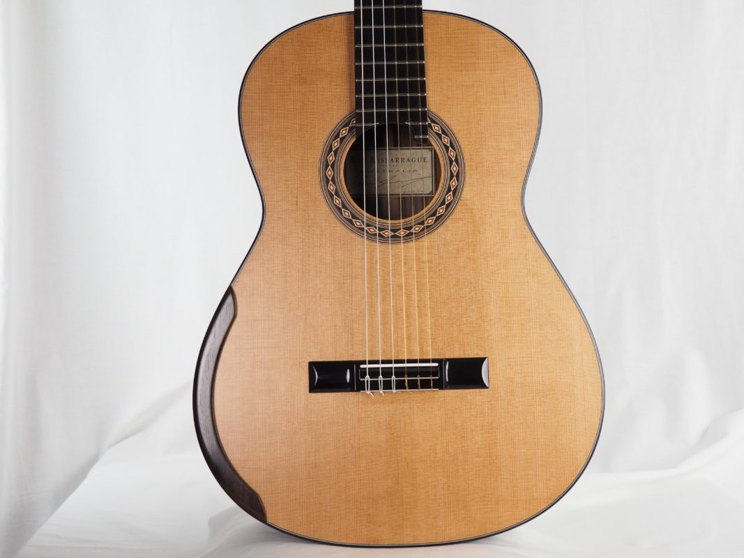 Classical concert guitar
