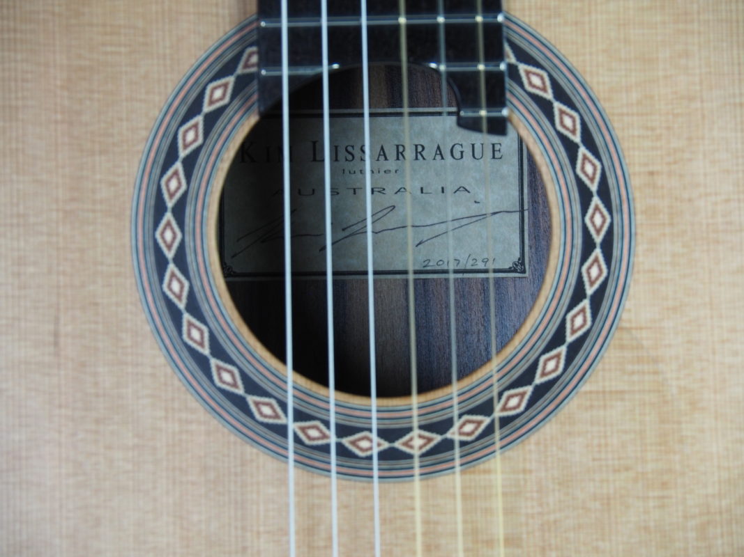 Classical concert guitar