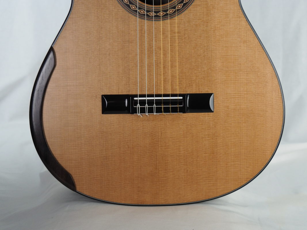 Classical concert guitar