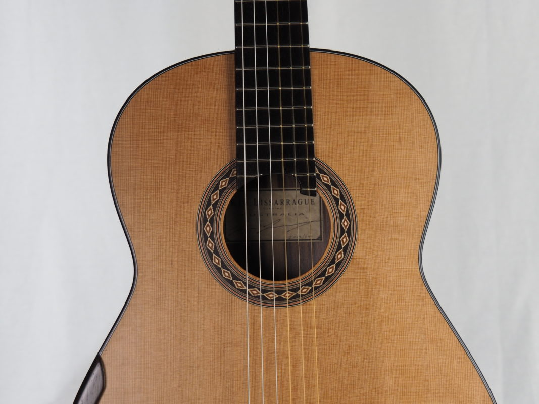 Classical concert guitar