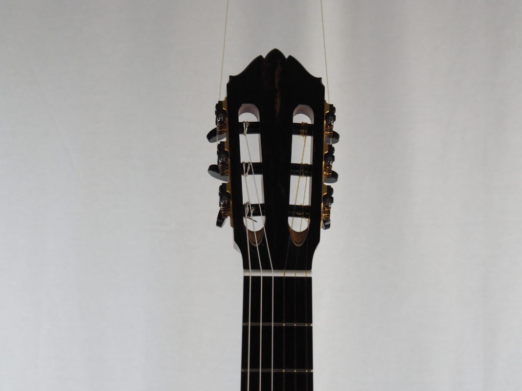 Classical concert guitar
